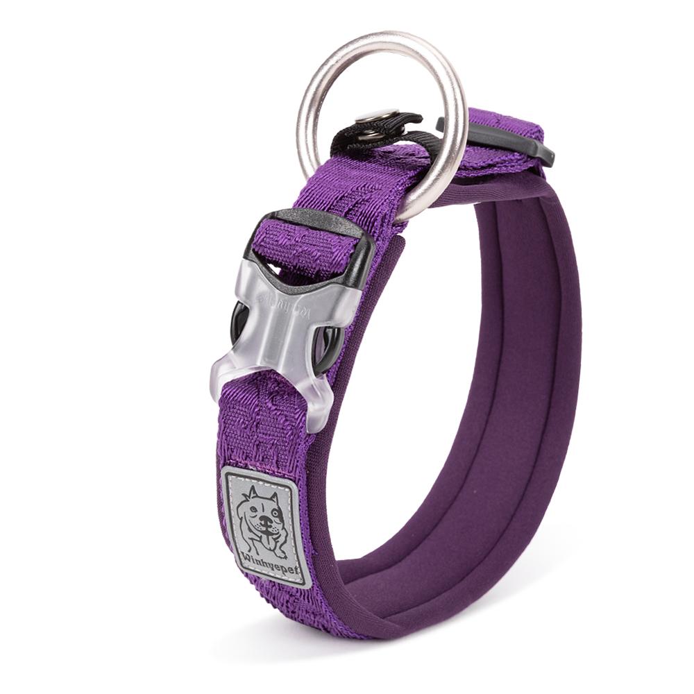 Whinhyepet Collar purple - M