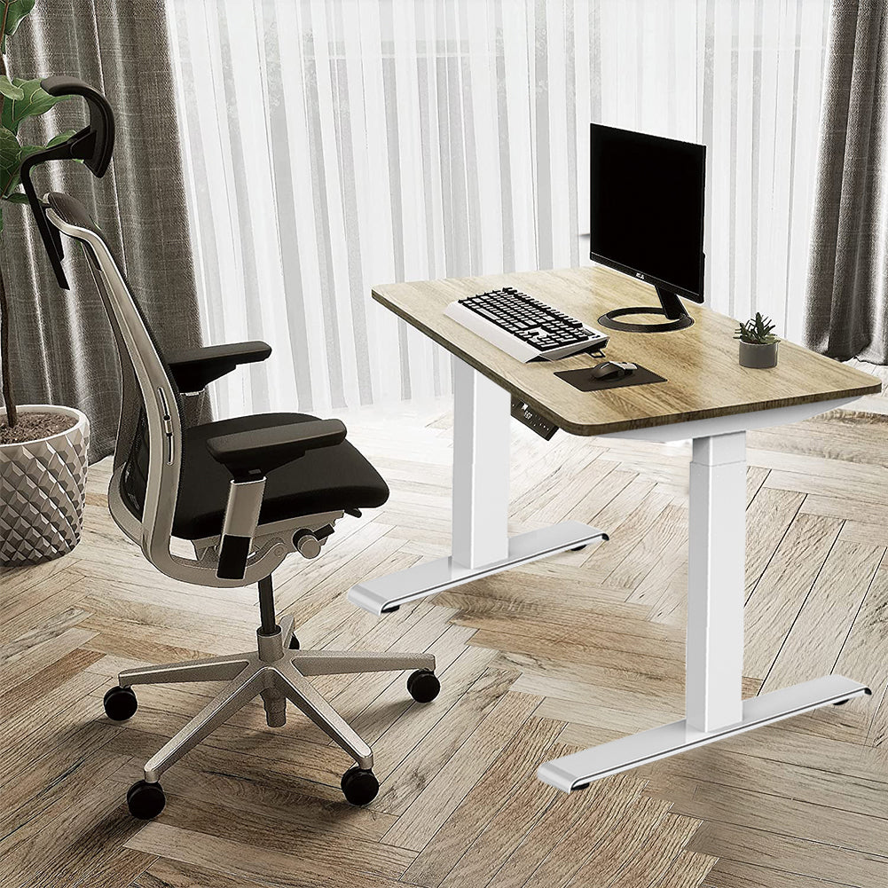 Sardine Sport Electric Standing Desk, 100KG Motorised Height Adjustable Computer Desk, Sit Stand Desk, Home Office (120 x 60 cm / 47.2 x 23.6 inch)