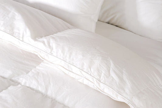 Microfiber Duvet / Quilt -Single