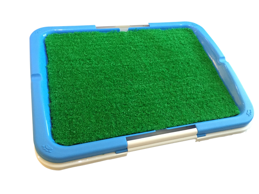 Portable Puppy Pet Toilet