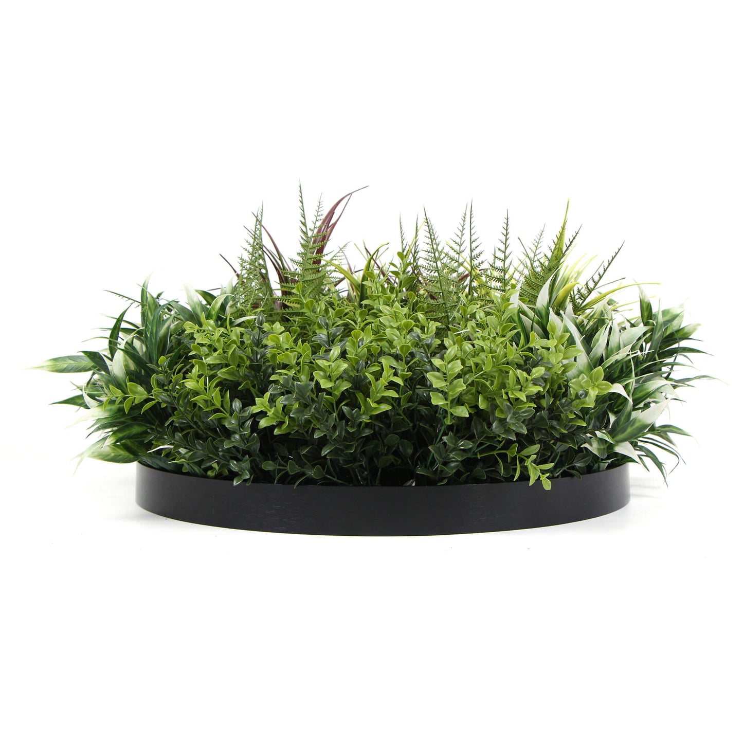Slimline Artificial Green Wall Disc Art 60cm Green Field UV Resistant (Black)