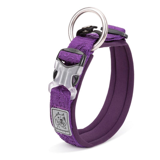 Whinhyepet Collar purple - 3XL