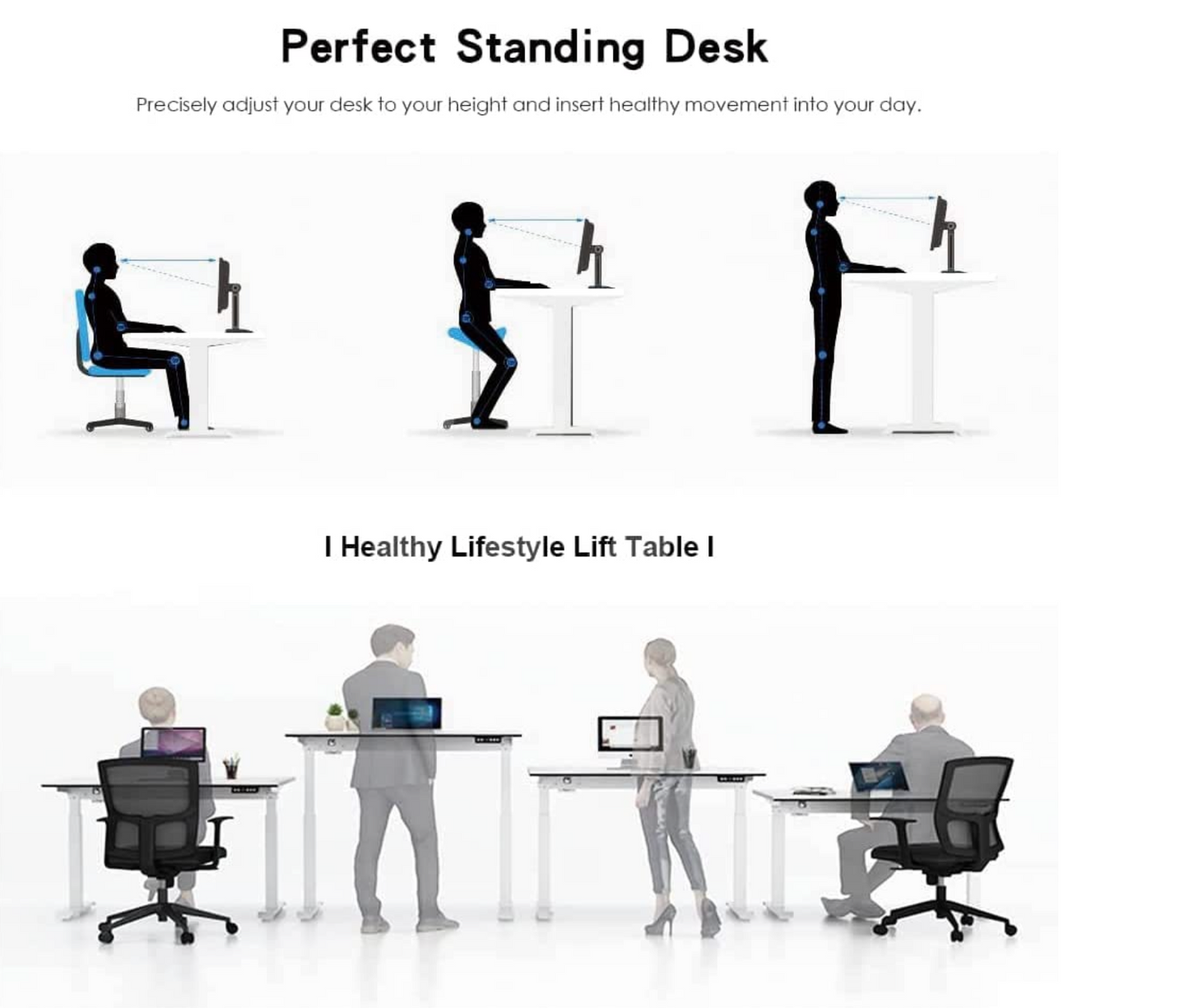 Sardine Sport Electric Standing Desk, 100KG Motorised Height Adjustable Computer Desk, Sit Stand Desk, Home Office (120 x 60 cm / 47.2 x 23.6 inch)