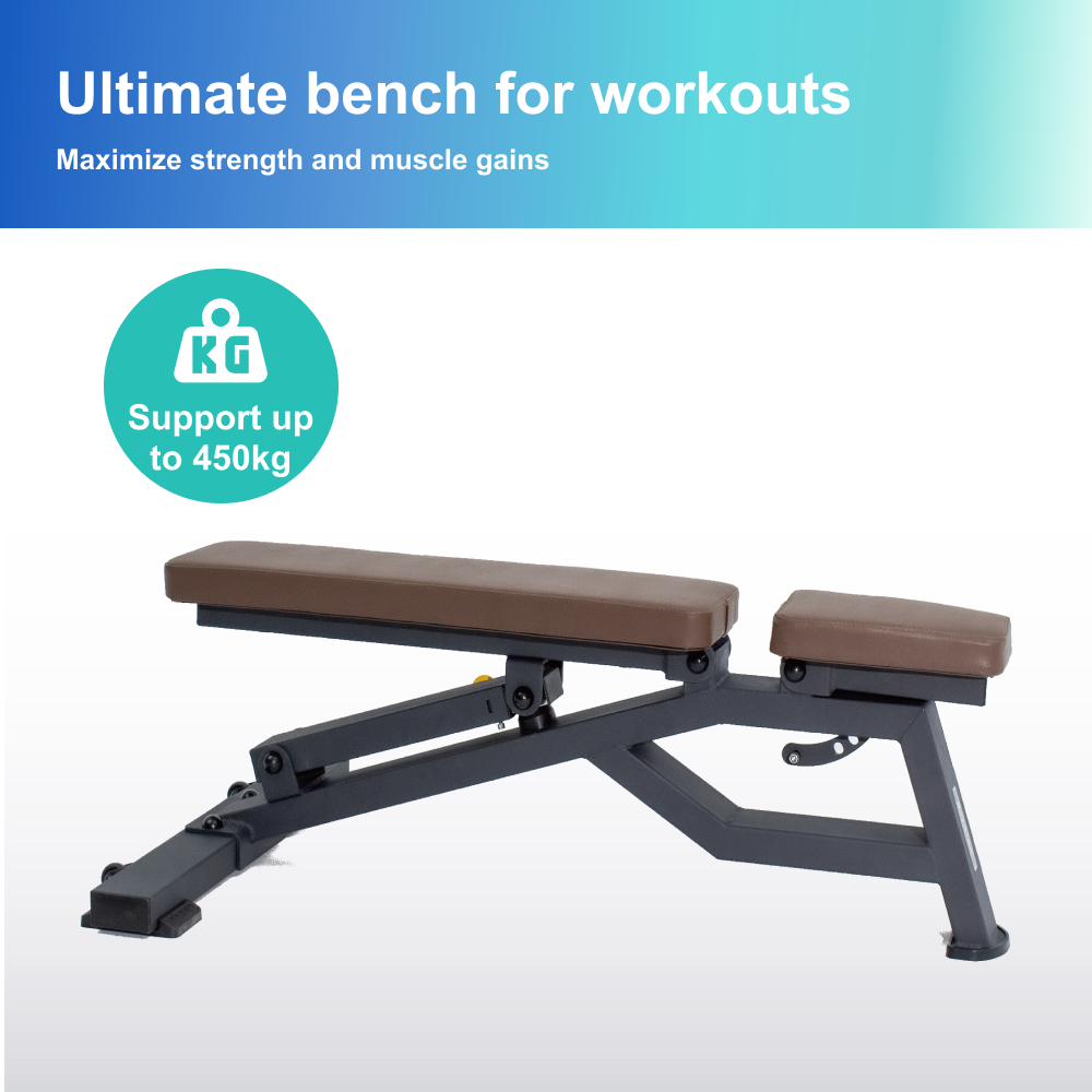 Sardine Sport Heavy Duty Bench Foldable Adjustable Commercial Grade Capacity 450kg(Black)
