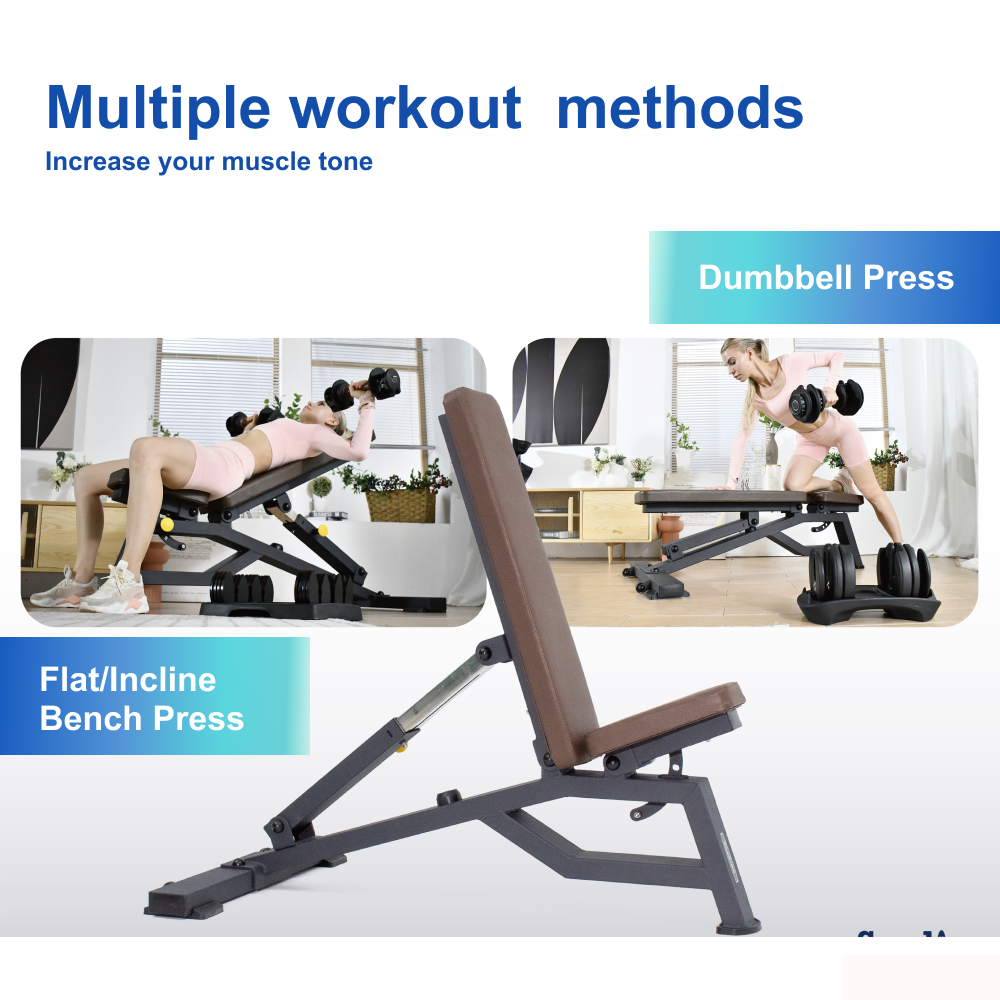 Sardine Sport Heavy Duty Bench Foldable Adjustable Commercial Grade Capacity 450kg(Black)