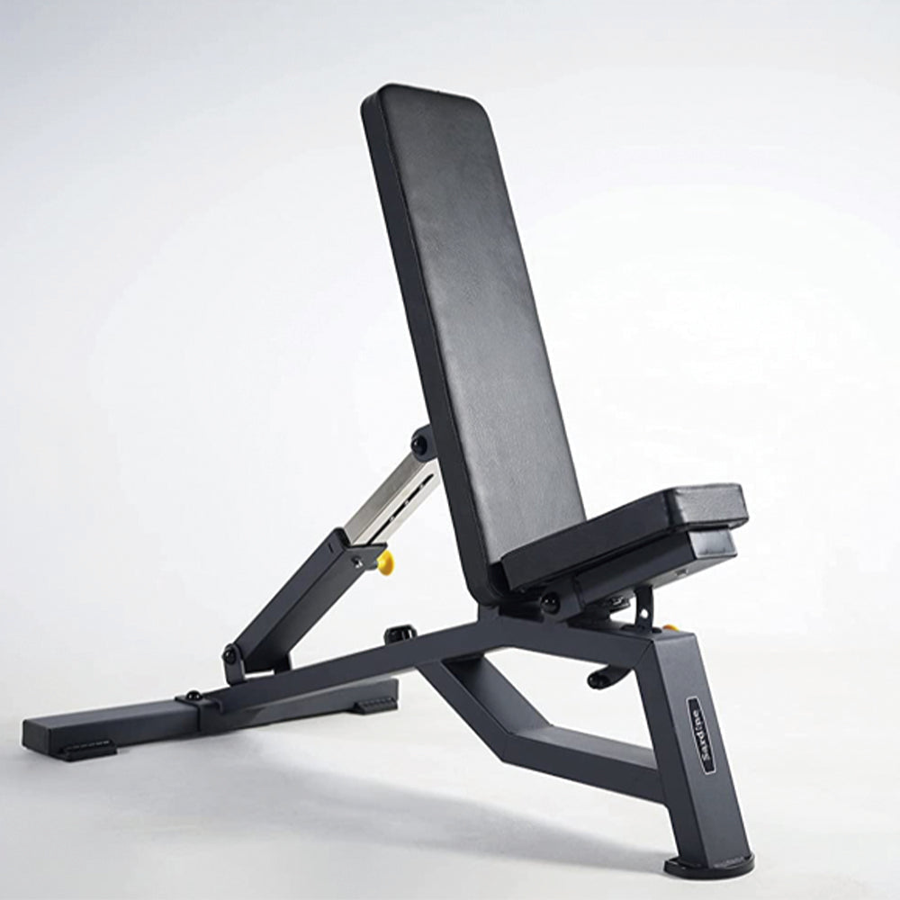 Sardine Sport Heavy Duty Bench Foldable Adjustable Commercial Grade Capacity 450kg(Black)