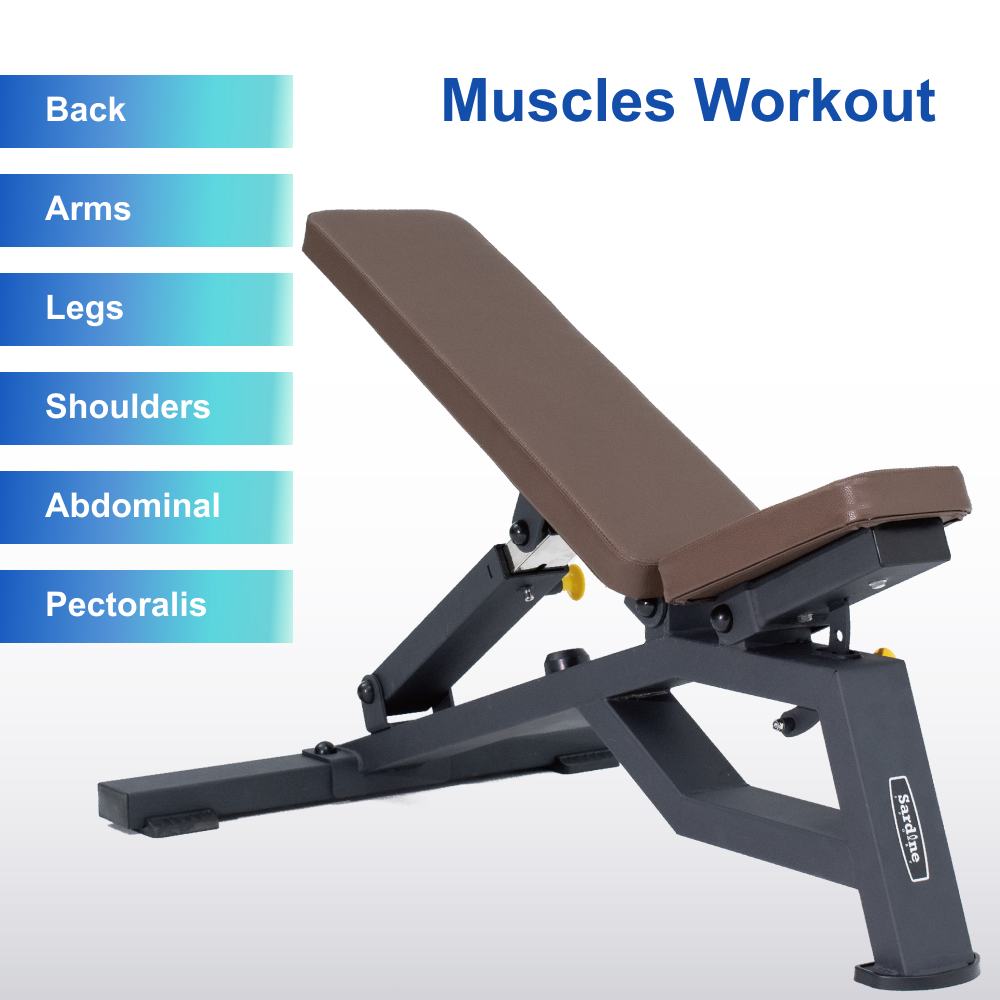 Sardine Sport Heavy Duty Bench Foldable Adjustable Commercial Grade Capacity 450kg(Brown)