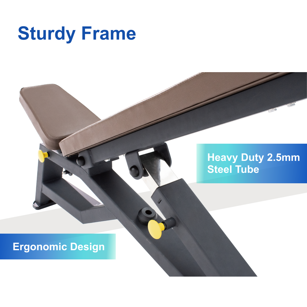 Sardine Sport Heavy Duty Bench Foldable Adjustable Commercial Grade Capacity 450kg(Brown)