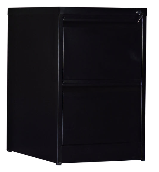 2-Drawer Shelf Office Gym Filing Storage Locker Cabinet