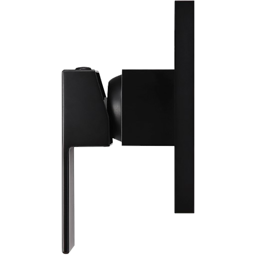 Polished Black Bathroom Shower Wall Mixer w/ WaterMark