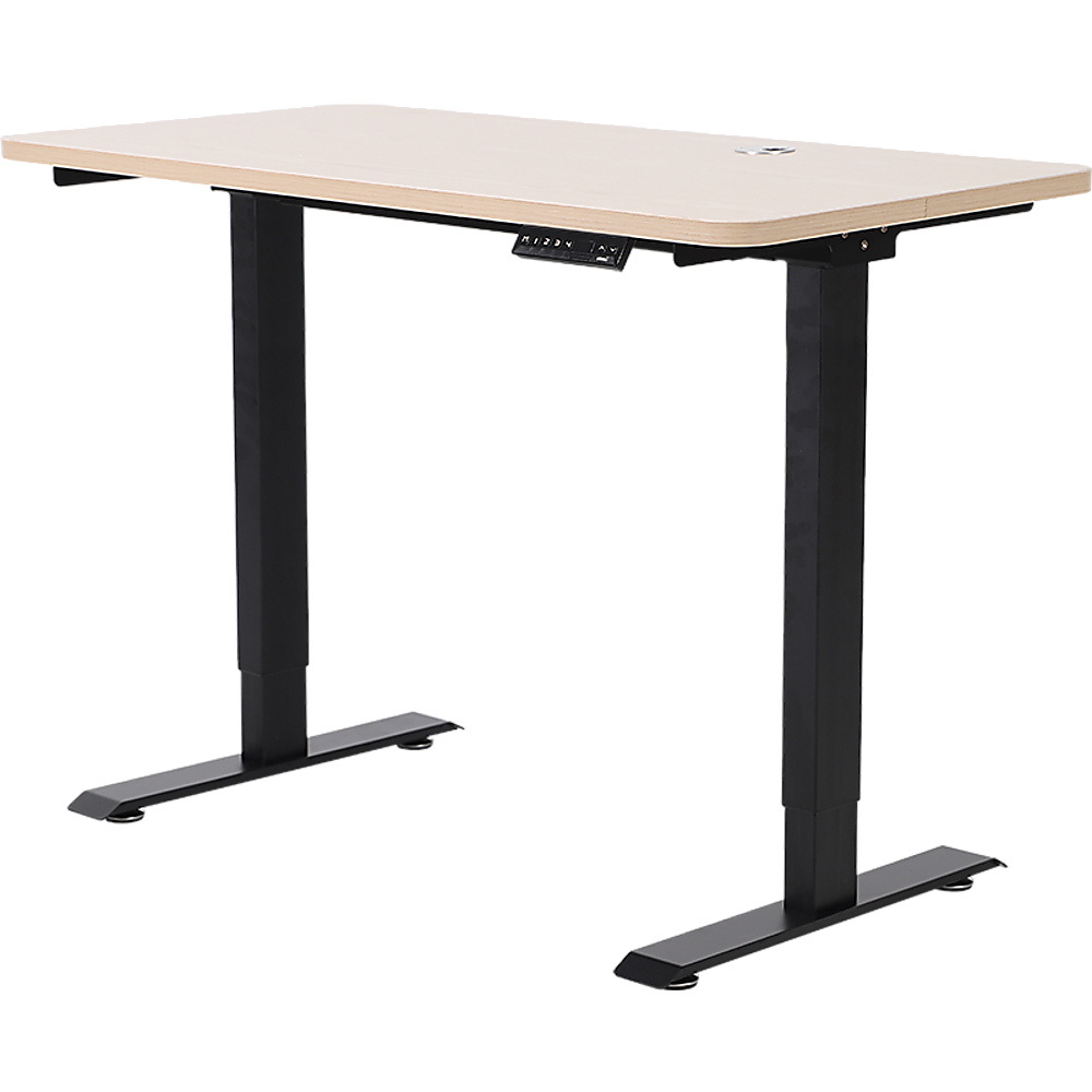 Palermo Standing Desk Sit Stand Height Adjustable Motorised 120cm Table Dual Motor