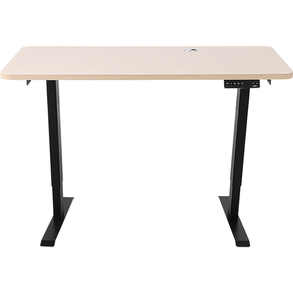 Palermo Standing Desk Sit Stand Height Adjustable Motorised 120cm Table Dual Motor