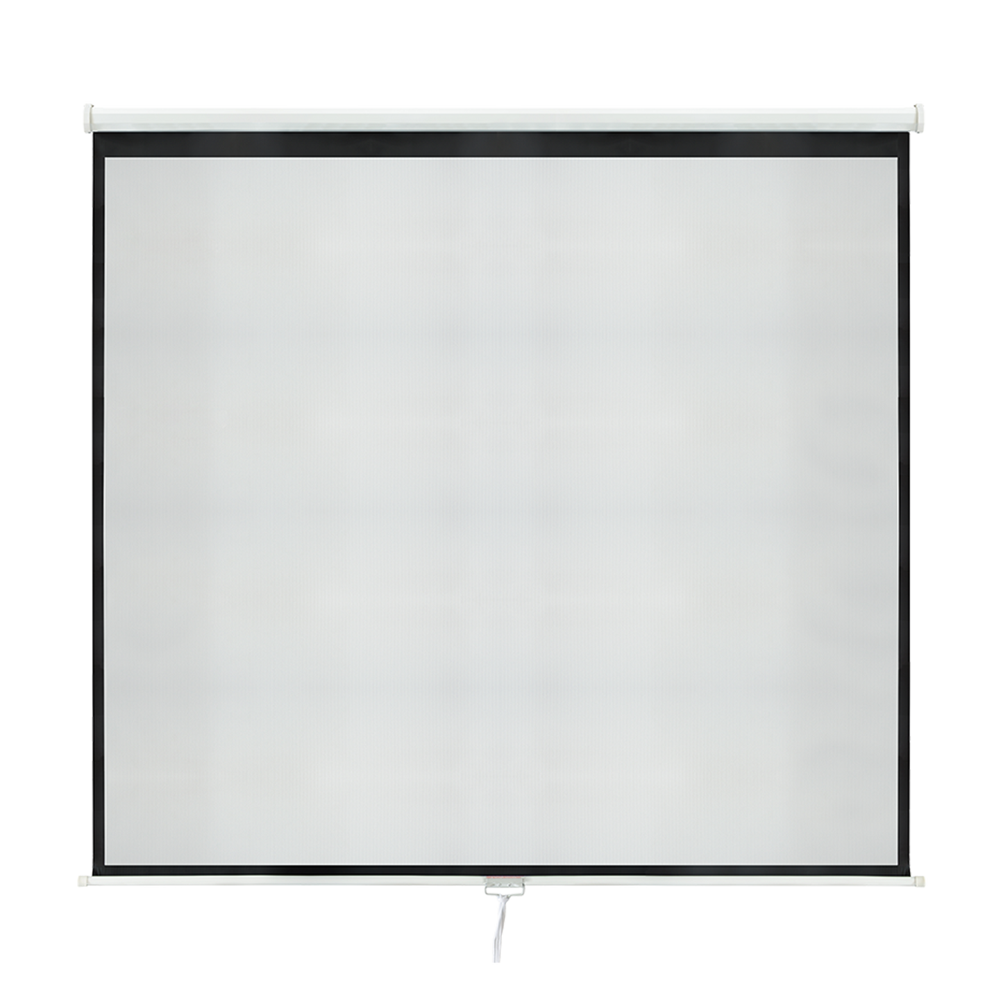 100 Inch 16:9 Manual Pull Down Outdoor Projector Projection Screen Theater Movie
