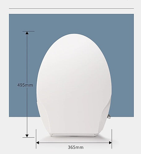 Non Electric Bidet Toilet Seat W/ Cover Bathroom Spray Washlet Water Wash