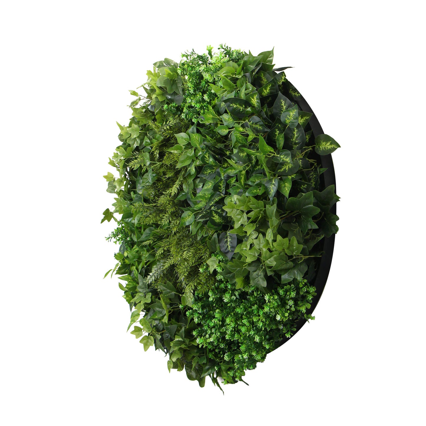 Slimline Artificial Green Wall Disc Art 100cm Mixed Green Fern (Black)