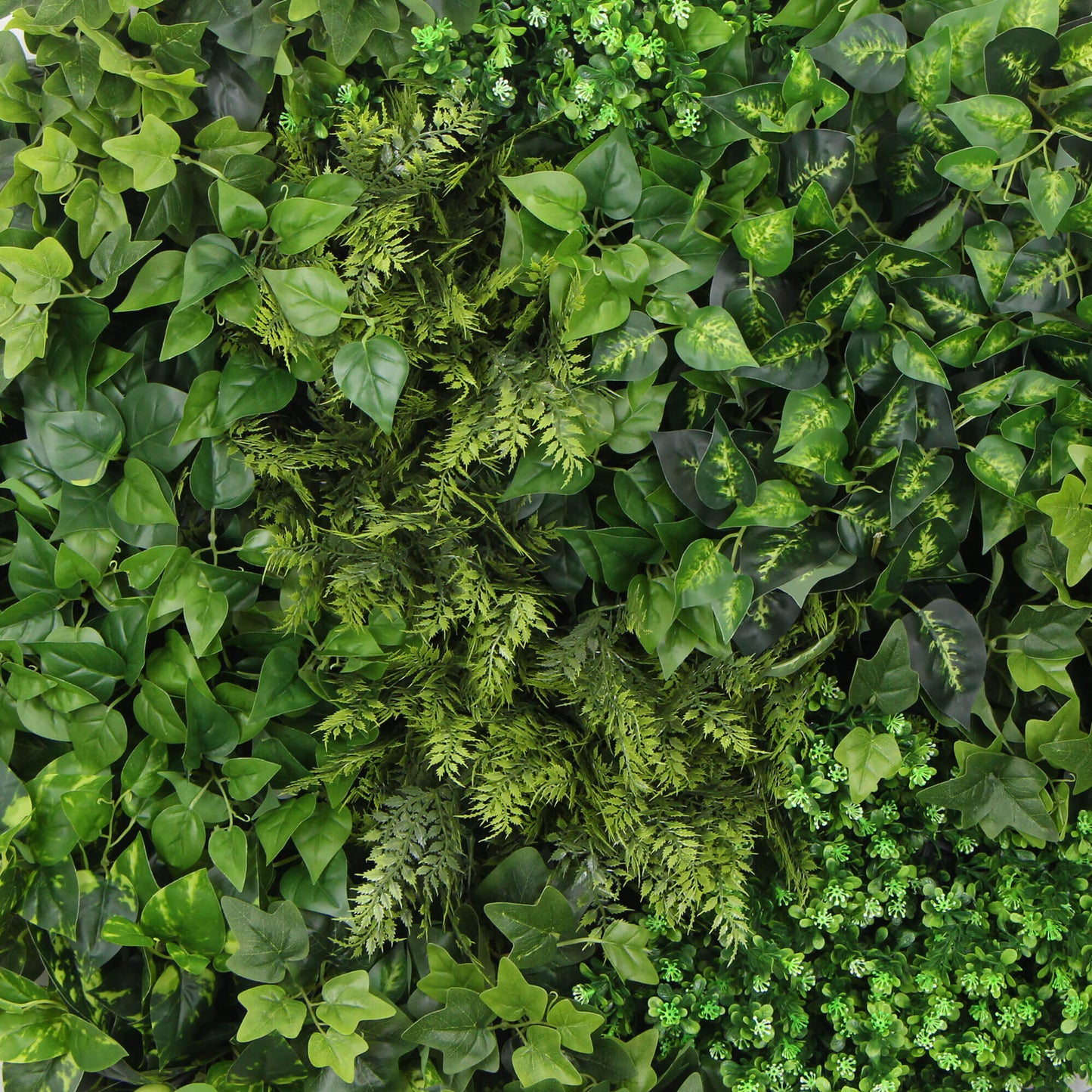 Slimline Artificial Green Wall Disc Art 100cm Mixed Green Fern (Black)