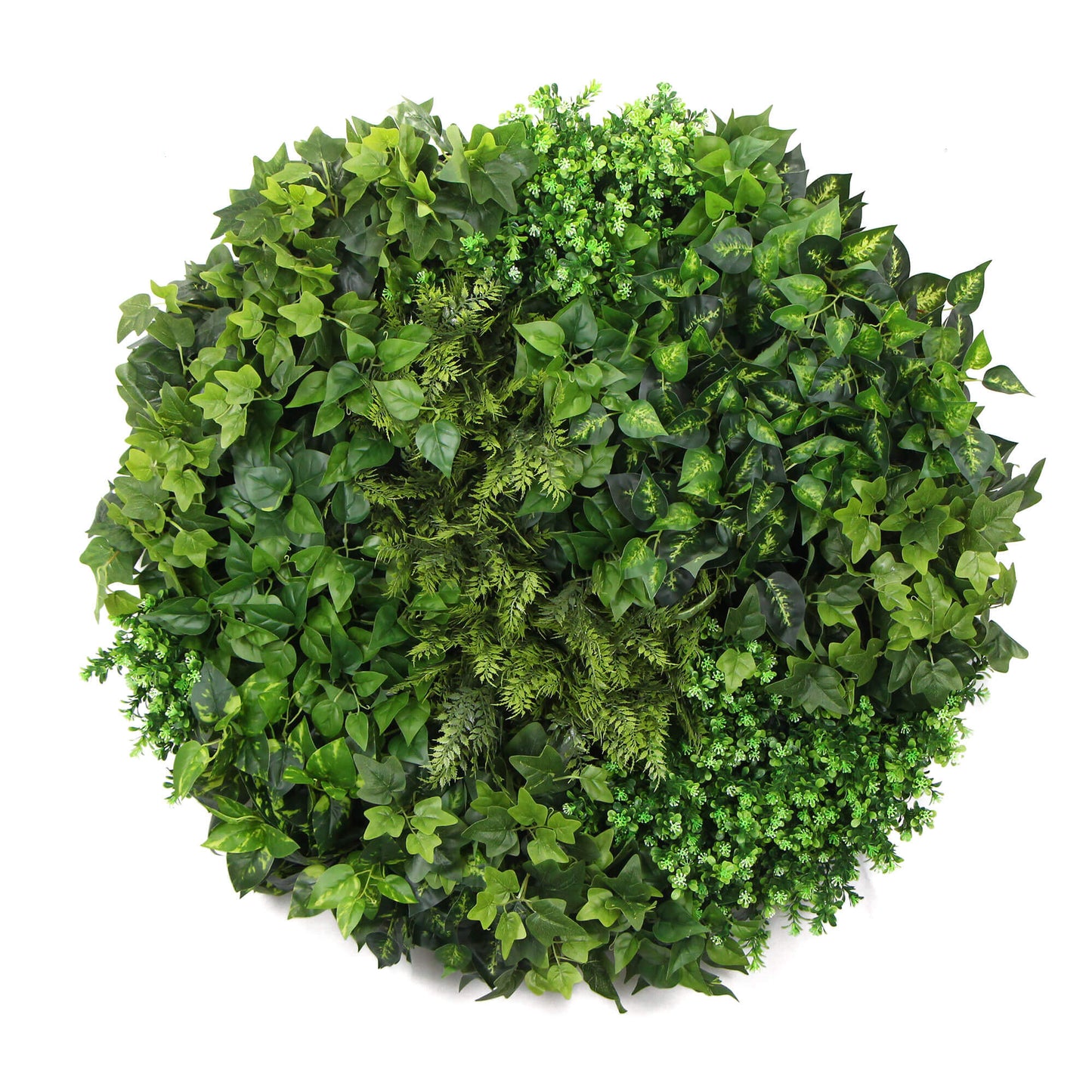 Slimline Artificial Green Wall Disc Art 100cm Mixed Green Fern (Black)