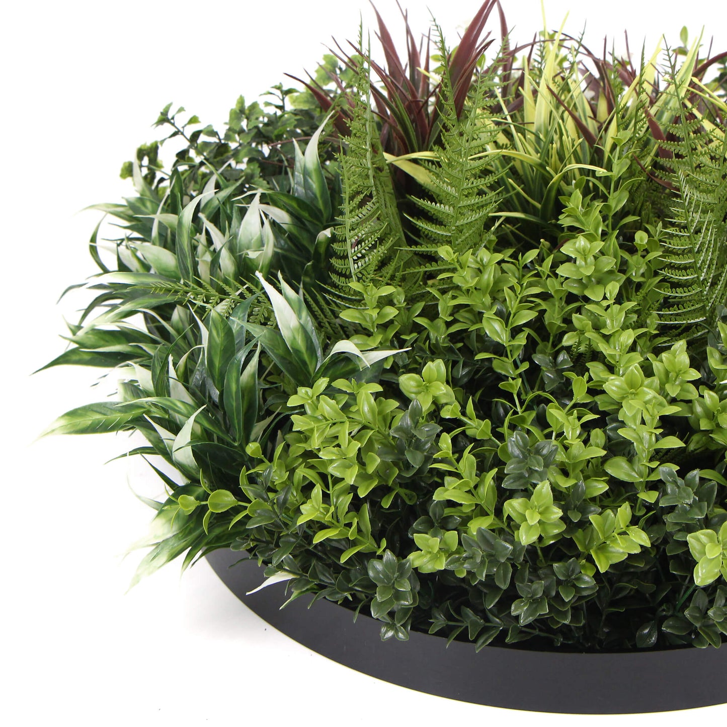 Slimline Artificial Green Wall Disc Art 60cm Green Field UV Resistant (Black)