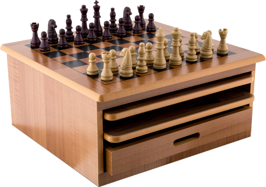 10 in 1 Wooden Chess Board Games Slide Out Checkers House Unit Set